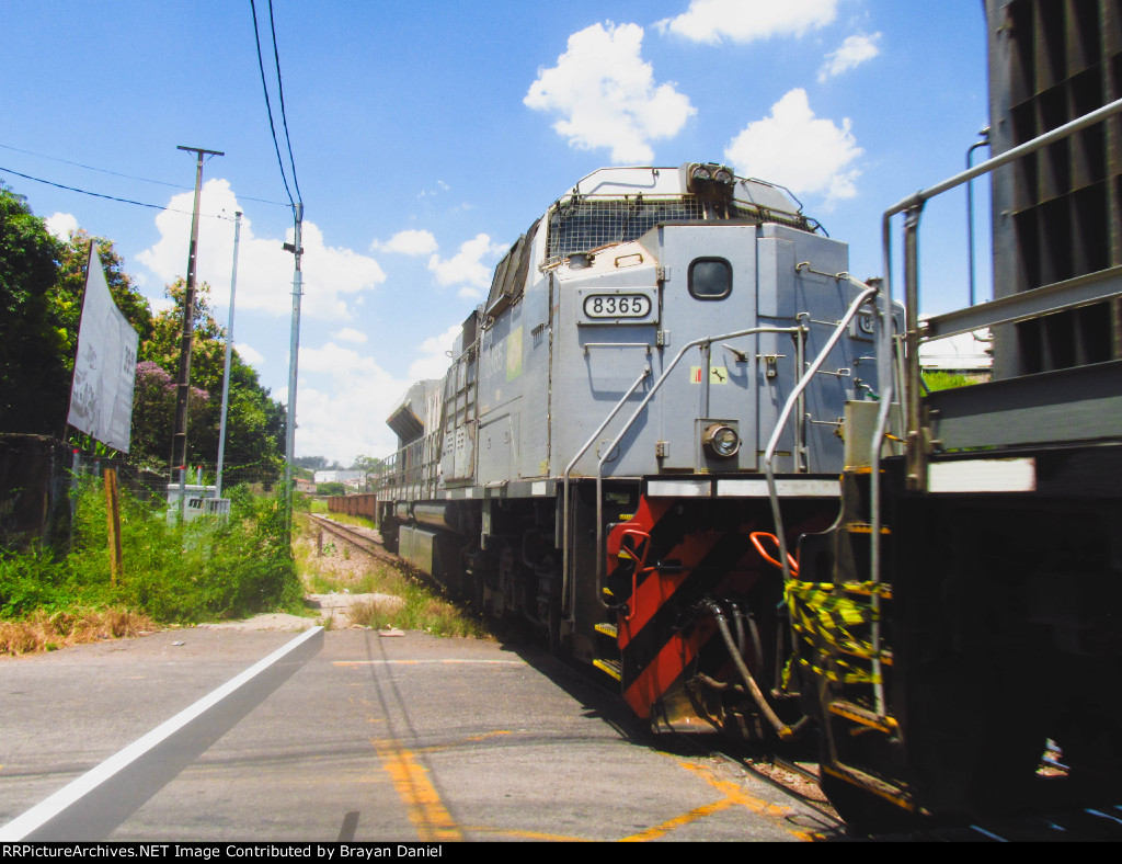 VLI 8365